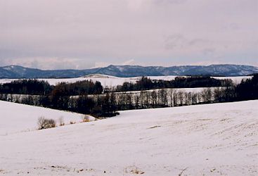 富良野の雪景色−1