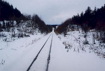 富良野の雪景色−2