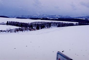 富良野の雪景色−3